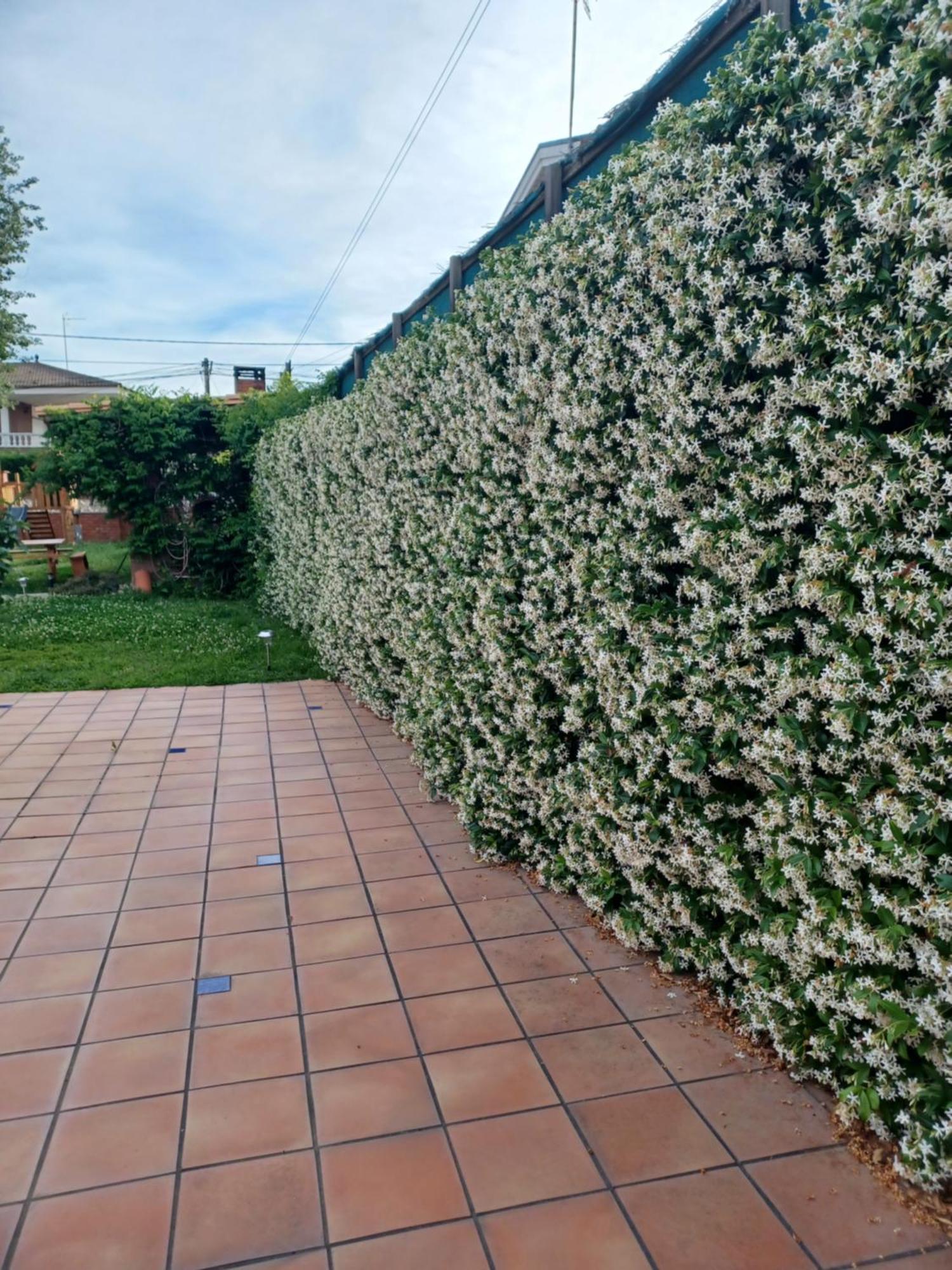 ジローナ Piscina De Sal Barbacoa Wifi, Parking Gratis, 3 Min Pga Casa El Robleヴィラ エクステリア 写真